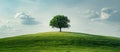 Lone Tree Atop Green Hill Royalty Free Stock Photo