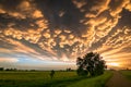 Lone tree below colorful mammatus clouds at the back of a severe thunderstorm Royalty Free Stock Photo