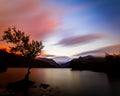 Lone tree on calm, tranquil lake at Sunset. Royalty Free Stock Photo