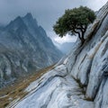 Lone tree clings to rocky mountain path under dramatic sky nature Royalty Free Stock Photo