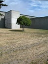 Lone tree & concrete building Royalty Free Stock Photo