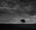 Solace in the Landscape: Monochrome