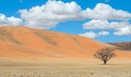 Lone Tree in Desert Landscape with Sand Dunes and Clouds Royalty Free Stock Photo