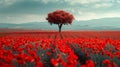 Lone Tree in Field of Red Flowers Royalty Free Stock Photo