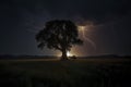 a lone tree in a field, silhouetted against a dramatic sky lit by a striking lightning bolt, ai generative Royalty Free Stock Photo