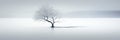 Lone tree on frozen lake background, minimalist landscape in winter. Peaceful nature in white. Concept of snow, art, beauty, Royalty Free Stock Photo