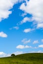 Lone Tree on a Grassy Hill on the Horizon under a Blue Sky Royalty Free Stock Photo