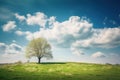 a lone tree on a grassy hill under a cloudy sky with white flowers and green grass and a blue sky with white clouds and blue sky Royalty Free Stock Photo