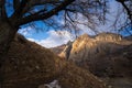 Lone tree grow at the edge of cliff. Force of life. Strong plant fighting for its future. Mountain landscape