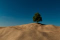 a lone tree on a hill of sand under a blue sky with a few clouds in the background, 3D illustration Royalty Free Stock Photo
