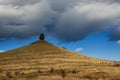 Lone tree on hill top, farmland, New Zealand Royalty Free Stock Photo