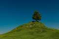 a lone tree on a hill under a blue sky,3D illustration Royalty Free Stock Photo