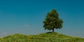 a lone tree on a hill under a blue sky,3D illustration Royalty Free Stock Photo