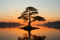 a lone tree on an island in the middle of a lake at sunset Royalty Free Stock Photo