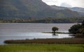 Lone tree on Lake Leane at Killarney on the Ring of Kerry in Ireland Royalty Free Stock Photo