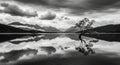 Lone tree in lake with mountain reflection and dramatic clouds Royalty Free Stock Photo