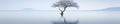 Lone tree on lake in winter, panoramic minimalist landscape. Wide banner with peaceful nature in white. Concept of snow, art,