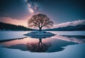 Lone Tree with Lights on Snowy Island Reflected in Lake Royalty Free Stock Photo
