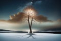 Lone Tree with Lights on Snowy Island Reflected in Lake Royalty Free Stock Photo