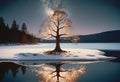 Lone Tree with Lights on Snowy Island Reflected in Lake Royalty Free Stock Photo