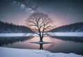 Lone Tree with Lights on Snowy Island Reflected in Lake Royalty Free Stock Photo