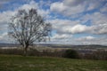 Lone tree looks over wide-open countryside