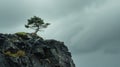 A lone tree ly clinging to the edge of a steep cliff its roots exposed and struggling to hold on. The unstable ground Royalty Free Stock Photo