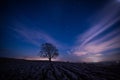 The lone tree at Malham by night Royalty Free Stock Photo