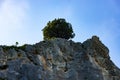 A lone tree on a marbled limestone rock against a blue sky. scenery Royalty Free Stock Photo