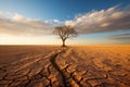 a lone tree in the middle of an arid landscape