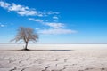 a lone tree in the middle of a barren desert Royalty Free Stock Photo