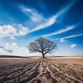 a lone tree in the middle of a barren field Royalty Free Stock Photo