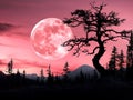 A lone tree in the middle of a forest with a full moon in the background Royalty Free Stock Photo