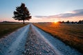A lone tree in the middle of a gravel road at sunset Royalty Free Stock Photo