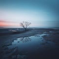 a lone tree in the middle of the ocean at sunset Royalty Free Stock Photo