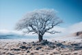 a lone tree in the middle of a snowy field Royalty Free Stock Photo