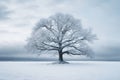 a lone tree in the middle of a snowy field Royalty Free Stock Photo