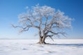 a lone tree in the middle of a snowy field Royalty Free Stock Photo