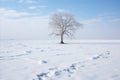 a lone tree in the middle of a snowy field Royalty Free Stock Photo