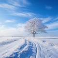 a lone tree in the middle of a snowy field Royalty Free Stock Photo