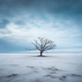 a lone tree in the middle of a snowy field Royalty Free Stock Photo