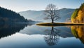 Lone Tree Nature by the Lake,Generative AI Royalty Free Stock Photo
