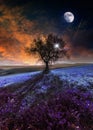 Lone tree night fantasy landscape