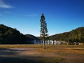 A lone tree in the park with beautiful background of mountains, trees and boats on water Royalty Free Stock Photo