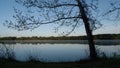 A lone tree on the shore of a still water lake at sunrise