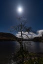 A lone tree on the shore of Ullswater in the English Lake District on a Moonlit night Royalty Free Stock Photo