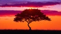 A lone tree silhouette against a fiery orange and purple sunset