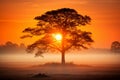 a lone tree is silhouetted against a bright orange sunset