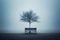 a lone tree sits on a bench in front of a foggy lake Royalty Free Stock Photo