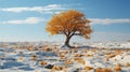 a lone tree in a snow covered field Royalty Free Stock Photo